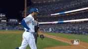 Home Run Baseball GIF by MLB