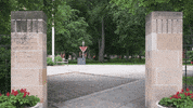 MSUMoorhead summer surprise jumping dragons GIF