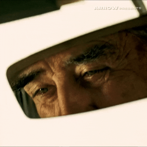 Texas Chainsaw Massacre Film GIF by Arrow Video