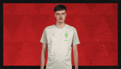 Werder Bremen What GIF by Bundesliga