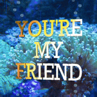 Best Friends Friend GIF