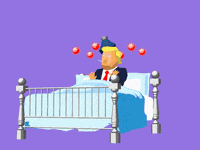 Trump Election GIF