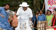 Angry Cricket GIF