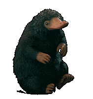 fantasticbeastsjapan テディ ファンタスティックビースト ファンタビ 魔法動物 Sticker