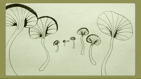 fromcecily giphyupload musicvideo looping mushrooms GIF