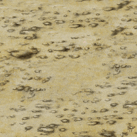 Dog Flower GIF by Scorpion Dagger