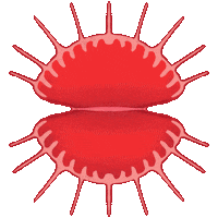 Art Festival Sticker by BanzaiLab