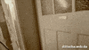 wdr wdr mahlzeit dittsche hobel GIF