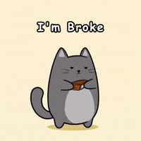 Cat Animation GIF by MESA My Emotional Support Animal