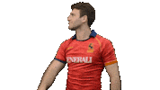 Fer Leones Sticker by FERugby