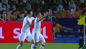 Football What GIF by CAF