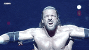 triple h wrestling GIF by WWE
