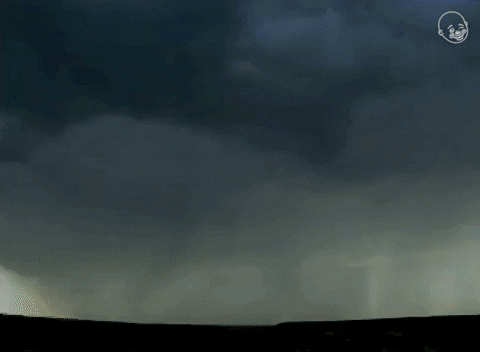 Found Footage Video GIF by Eternal Family
