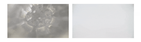 Loop Satisfying GIF by pures&exy