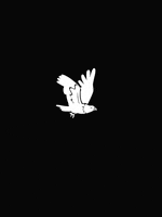 Flying Black And White GIF by VisualTimmy Illustration