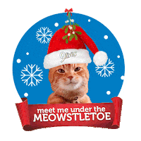 Merry Christmas Sticker by Morris the 9Lives Cat