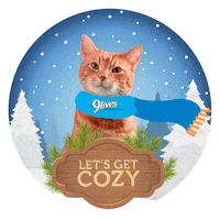 Freezing Cat Food Sticker by Morris the 9Lives Cat
