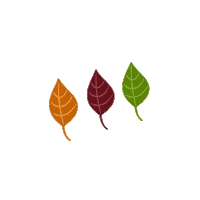Fall Autumn Sticker