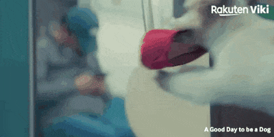 Cha Eun Woo Kdrama Couple GIF by Viki