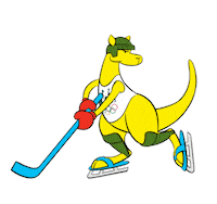Ice Hockey Sticker by AUSOlympicTeam