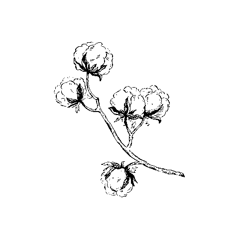 Essenzagif Sticker by ESSENZA HOME