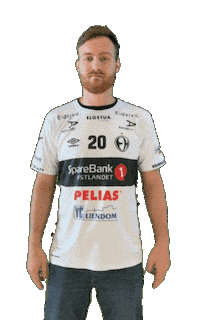 Rema1000Ligaen Sticker by Norsk Topphåndball