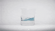 GIF by Digg
