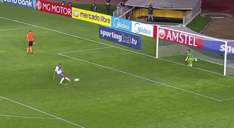 Sebastian Perez GIF by Club Deportivo Palestino