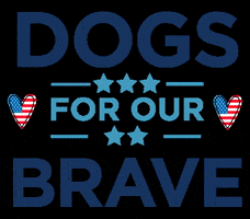 dfob dogs usa america veterans GIF