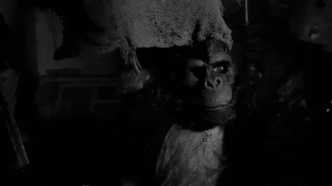 broxbourneboy giphyupload horror black and white teeth GIF