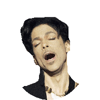 prince STICKER by imoji