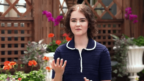 Asl Question GIF