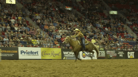 Triple Crown Celebration GIF by Professional Bull Riders (PBR)