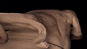 Skin Group GIF by tokyomegaplex