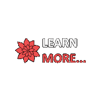 Button Learn Sticker