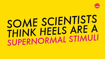 Supernormal Stimuli