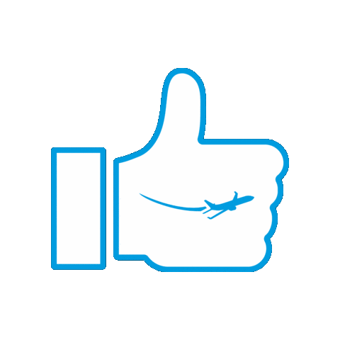 Thumb Up Bpn Sticker by Business Plane Network