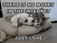 money love GIF by PEEKASSO
