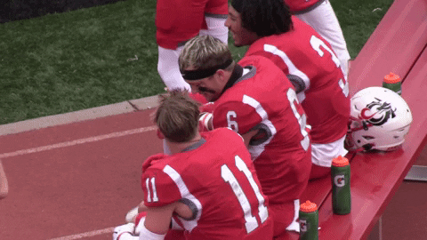 Football Celebration GIF by MSUM Dragons