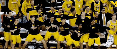 Go Blue GIF by Michigan Athletics