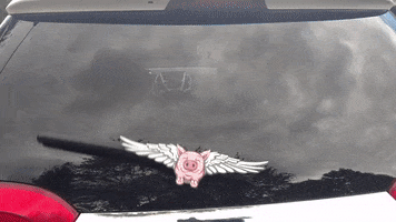 flying pig inspiration GIF by WiperTags