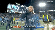 Tennessee Titans Football GIF by NFL