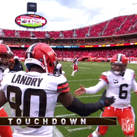 National Football League GIF by NFL
