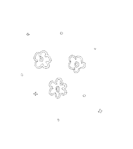 Flower Effects Sticker