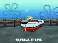season 6 GIF by SpongeBob SquarePants