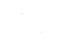 Fordautoelite car ford carros concessionaria Sticker