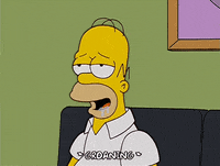 homer simpson GIF