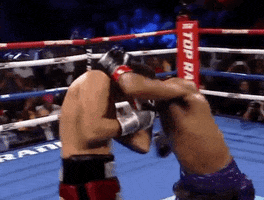 toprank fight boxing fighting espn GIF