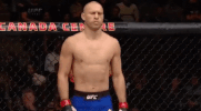 ufc 206 GIF
