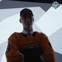 ice hockey sport GIF by NHL